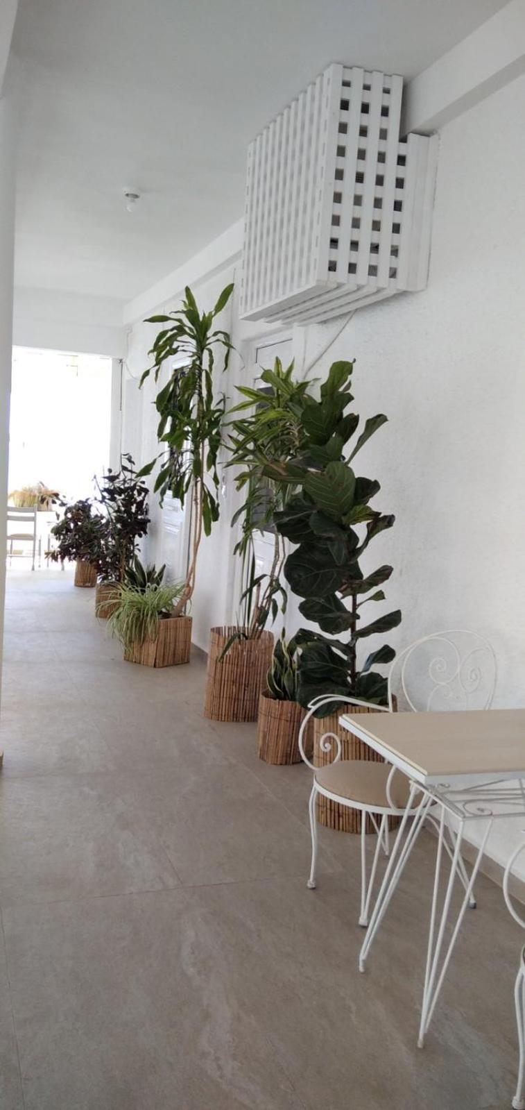 Vista Mare Apartment Koutsouras ภายนอก รูปภาพ
